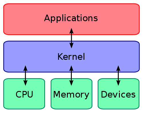 kernel